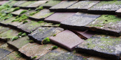St Leonards roof repair costs